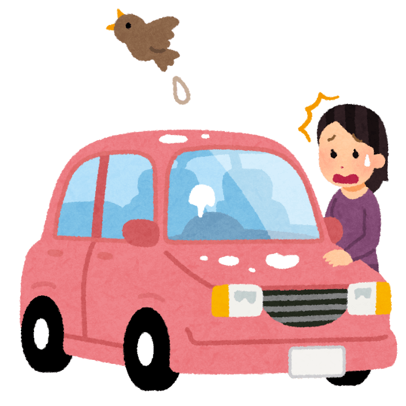 車に鳥のフンが付いていたらすぐに洗車を 鳥の糞の恐ろしさ ことブログ